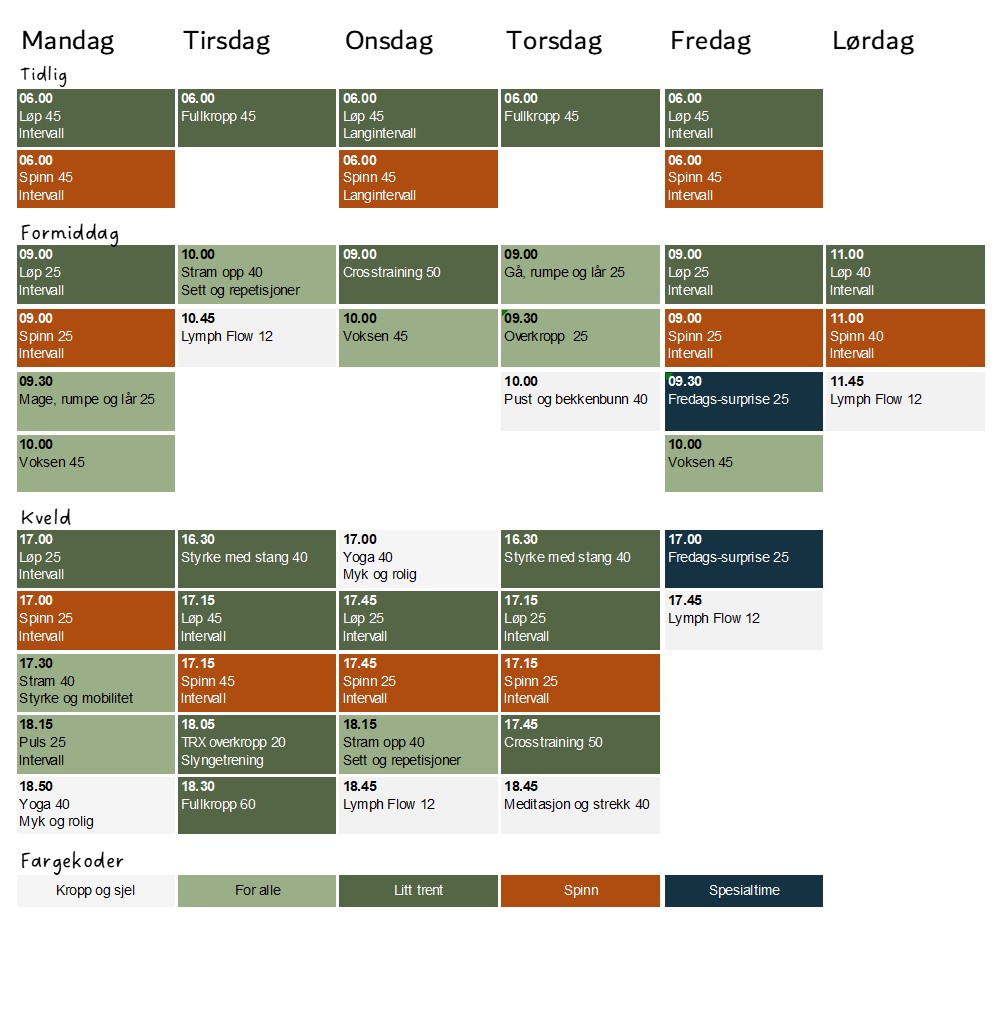 timeplan vinter vår 2025